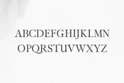 Faraz Modern Serif Typeface