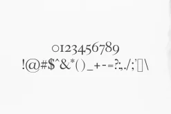 Faraz Modern Serif Typeface