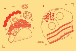 Fast Food Vector Illustration