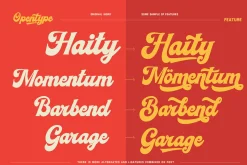 Fasty-Retro Font duo