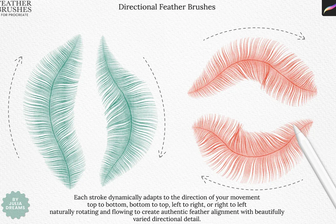 Feather Brushes for Procreate