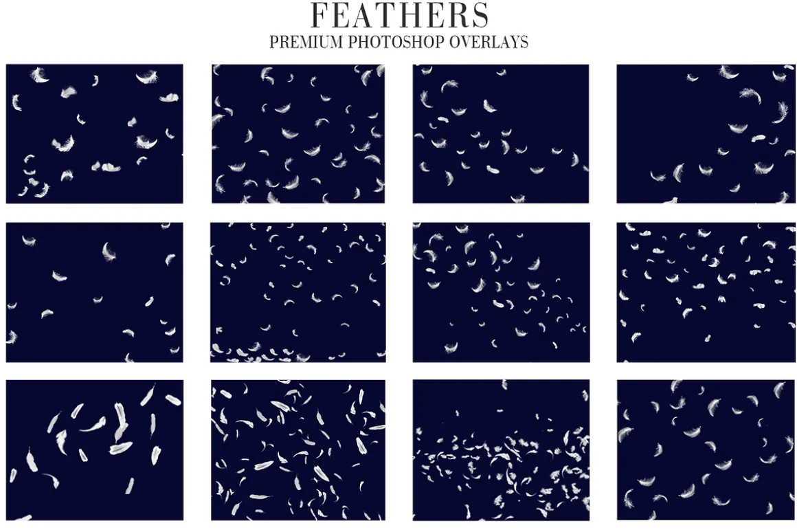 Feathers Overlays Photoshop