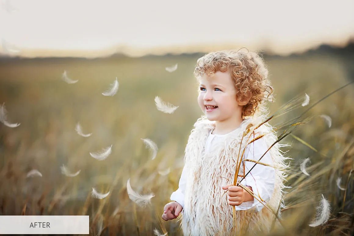 Feathers Overlays Photoshop