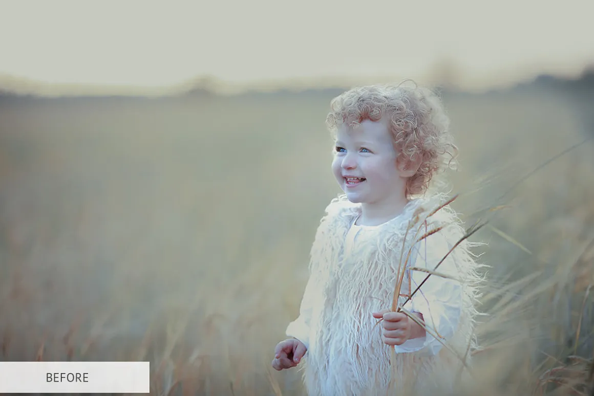 Feathers Overlays Photoshop