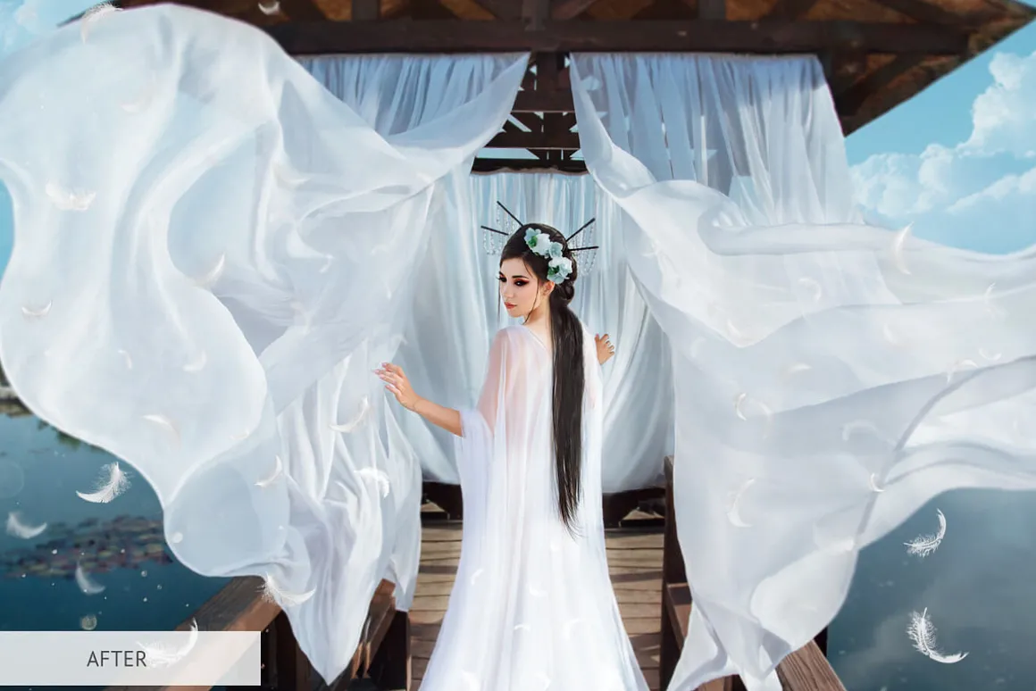 Feathers Overlays Photoshop
