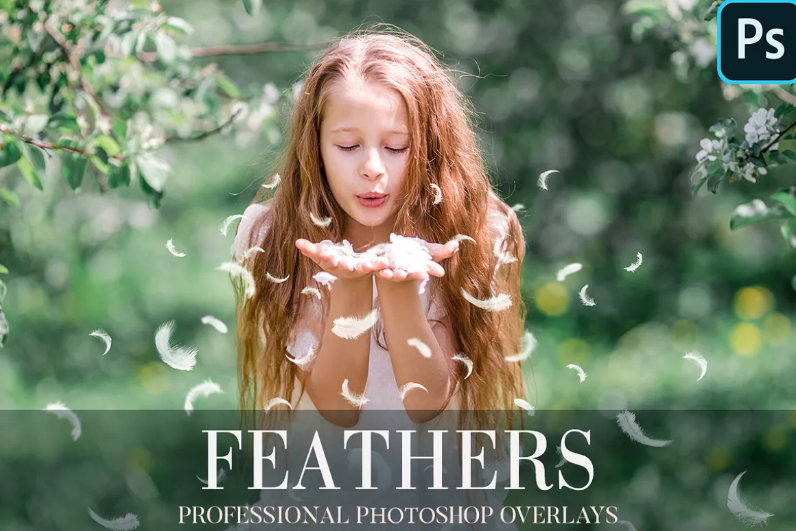 Feathers Overlays Photoshop