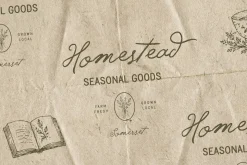 Feather Trace - Organic Font Duo