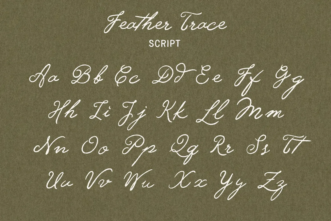 Feather Trace - Organic Font Duo