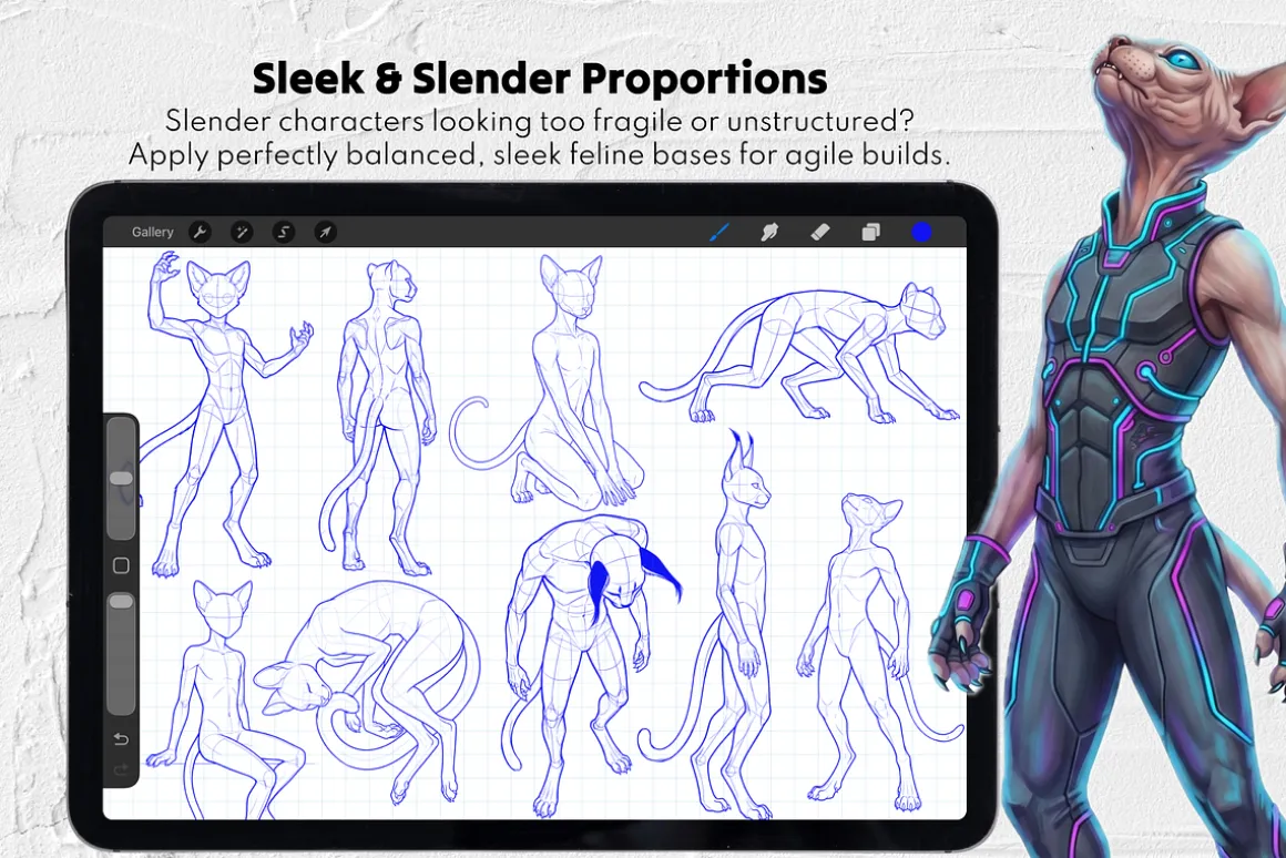 Feline Furry Male Base Stamp Brushes