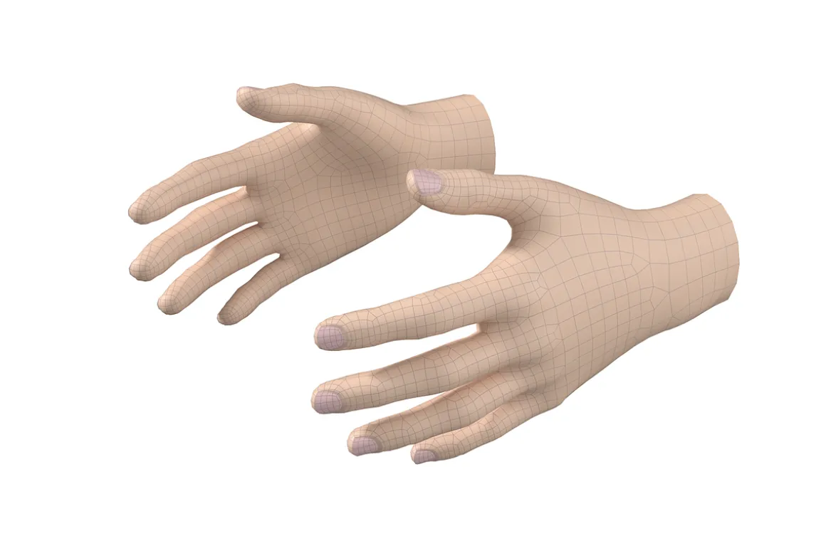 Female Hand Base Mesh 02