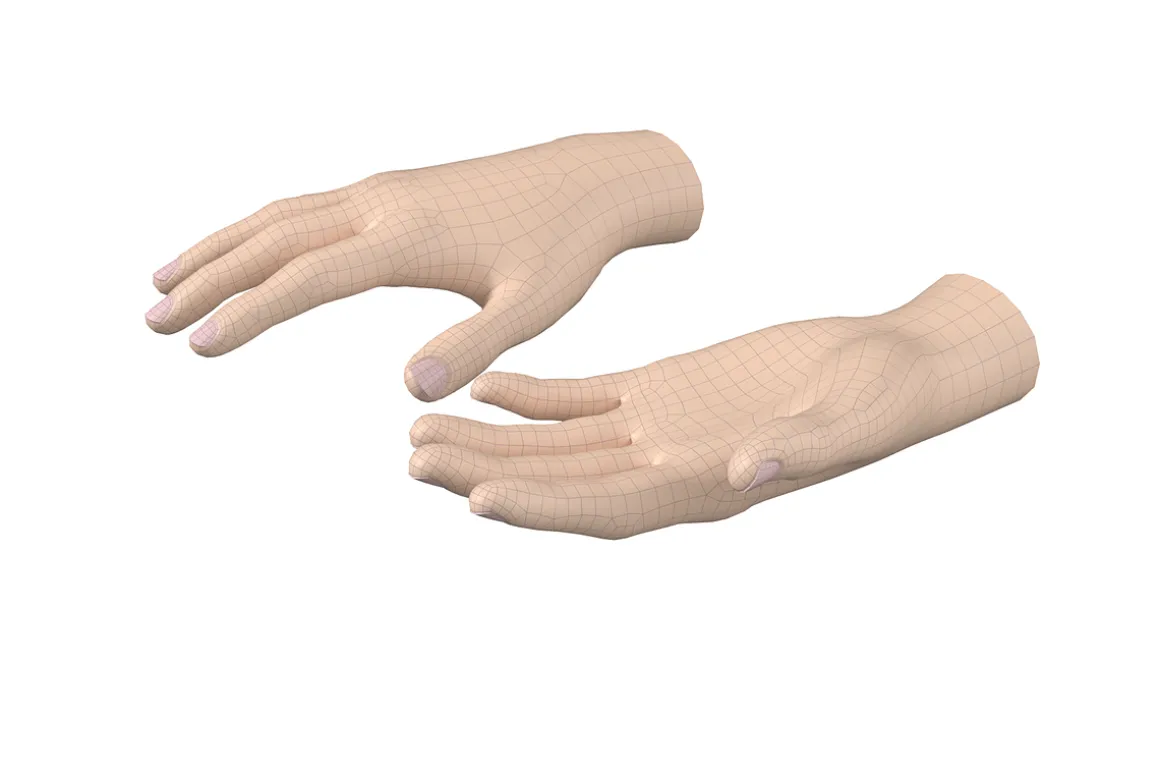 Female Hand Base Mesh 02