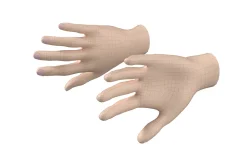 Female Hand Base Mesh 02