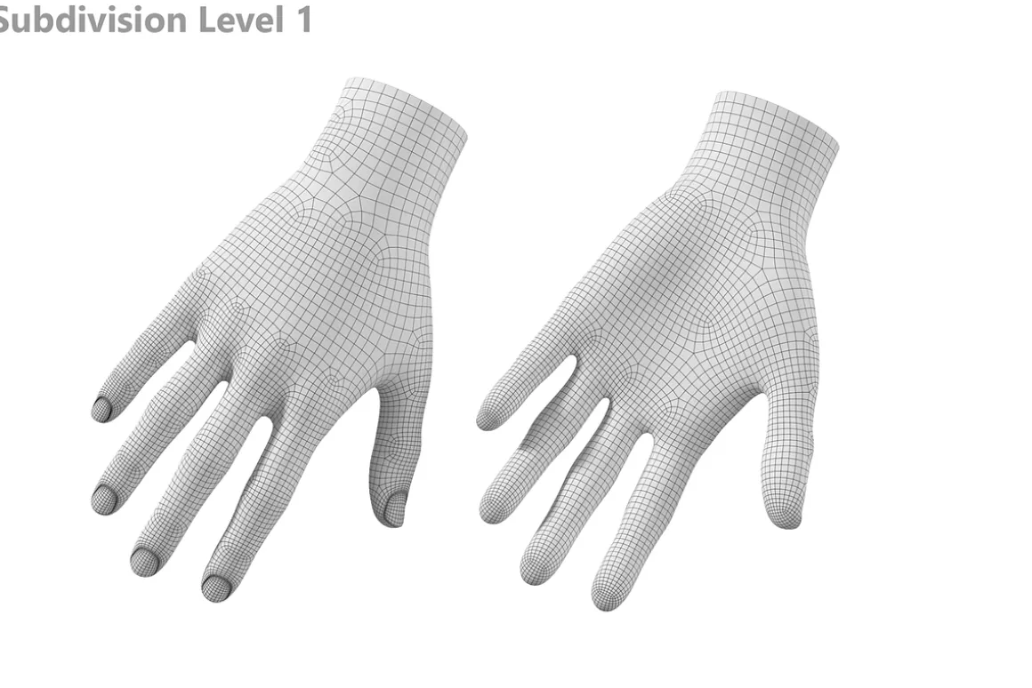 Female Hand Base Mesh 02