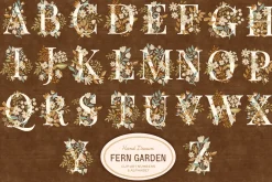 Fern Floral Illustrations & Pattern