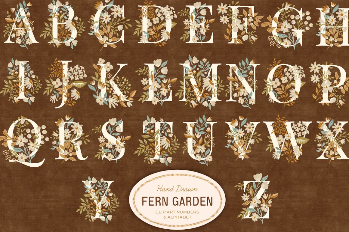 Fern Floral Illustrations & Pattern