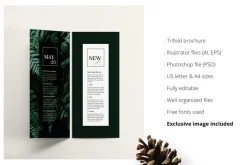 FERNS Trifold Event Flyer Design