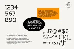 Fever Days Alt - Raw Serif Font