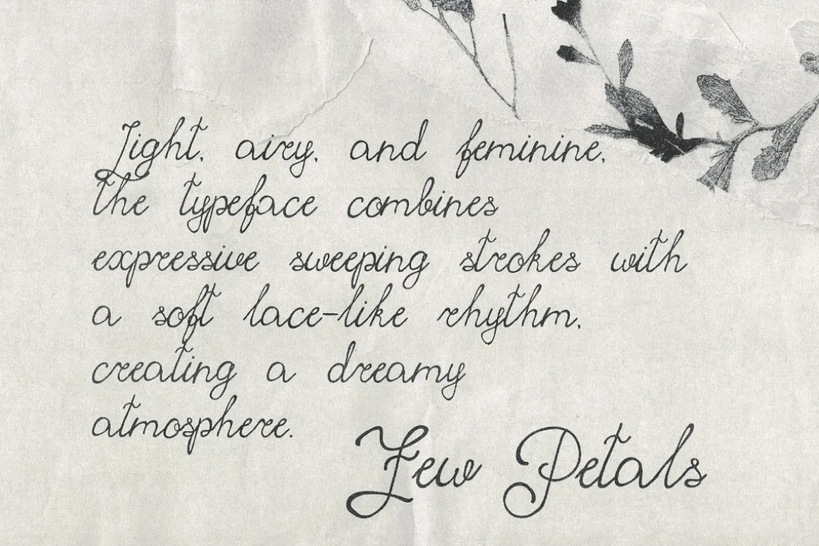 Few Petals. Dreamy Script Typeface