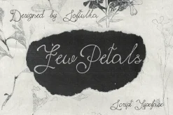 Few Petals. Dreamy Script Typeface