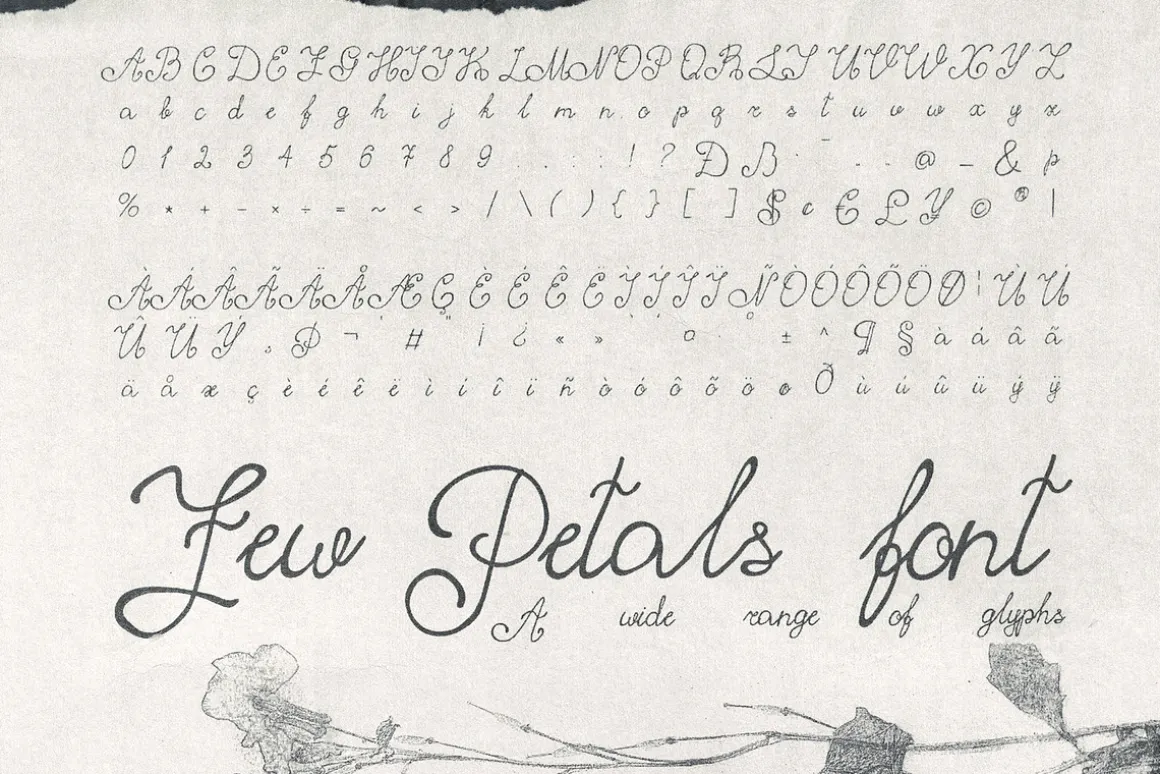 Few Petals. Dreamy Script Typeface