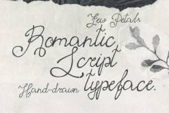 Few Petals. Dreamy Script Typeface