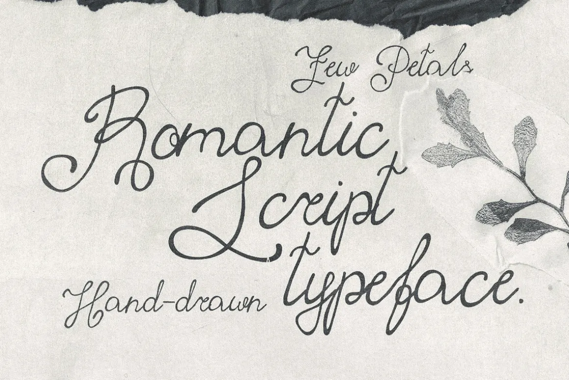 Few Petals. Dreamy Script Typeface