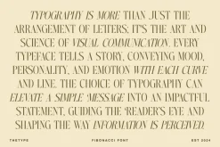 Fibonacci | Serif With Italic Font