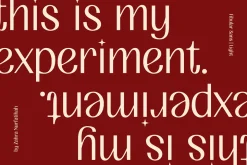 FIBULAR SANS - Variable Display Type