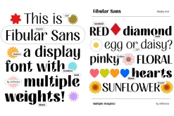 FIBULAR SANS - Variable Display Type