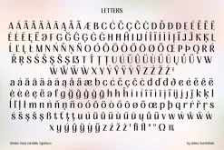 FIBULAR SANS - Variable Display Type