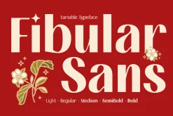 FIBULAR SANS - Variable Display Type