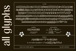 FIBULAR SANS - Variable Display Type