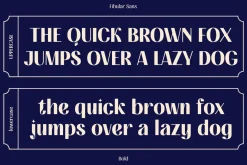 FIBULAR SANS - Variable Display Type