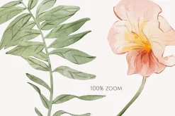 FIELD watercolor wildflowers