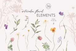 FIELD watercolor wildflowers