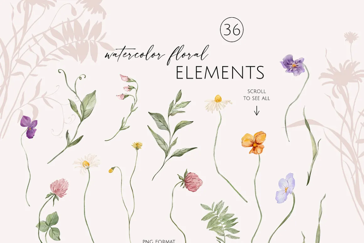 FIELD watercolor wildflowers