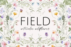 FIELD watercolor wildflowers