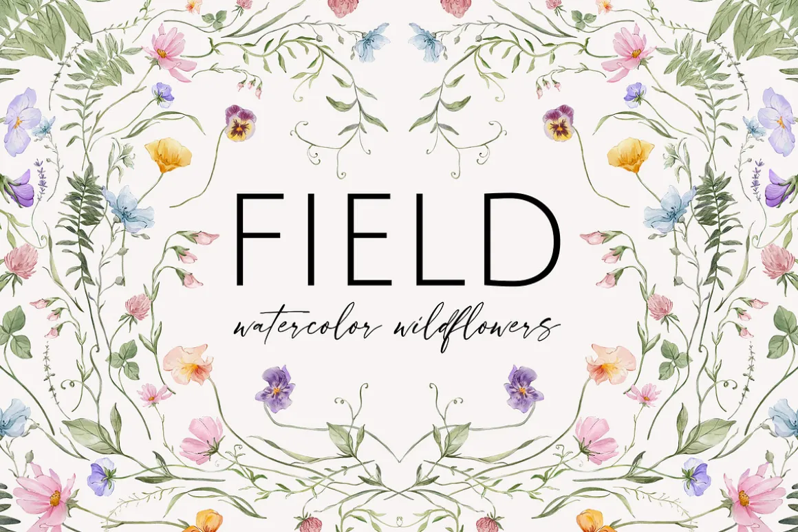 FIELD watercolor wildflowers