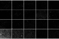 Film Grain & Dust Texture Overlay
