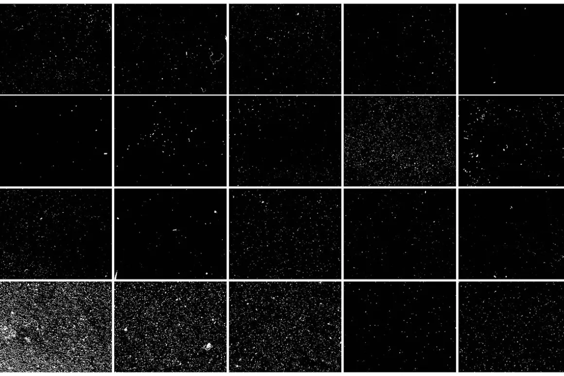 Film Grain & Dust Texture Overlay