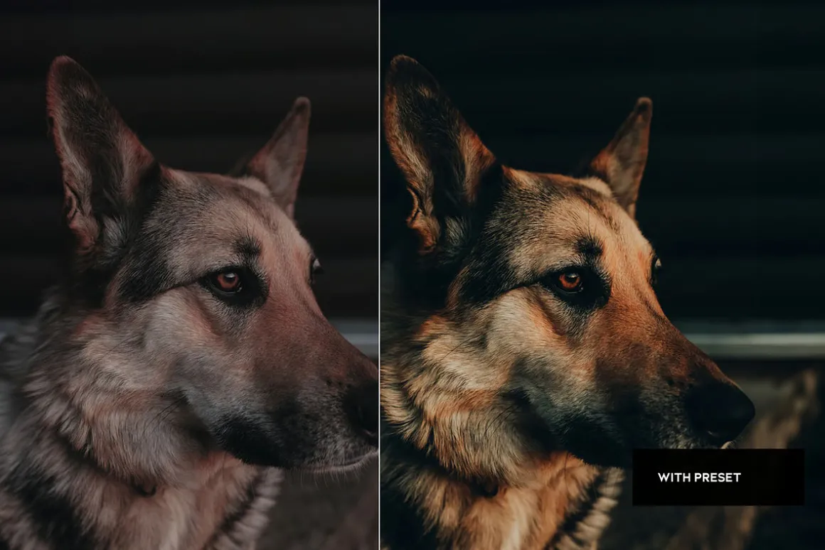 Film Presets For Mobile and Desktop