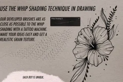 Fine Line & Stipple Brushes