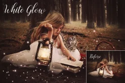 Firefly photoshop overlays