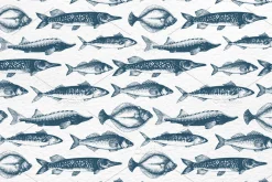 Fish Vector Collection