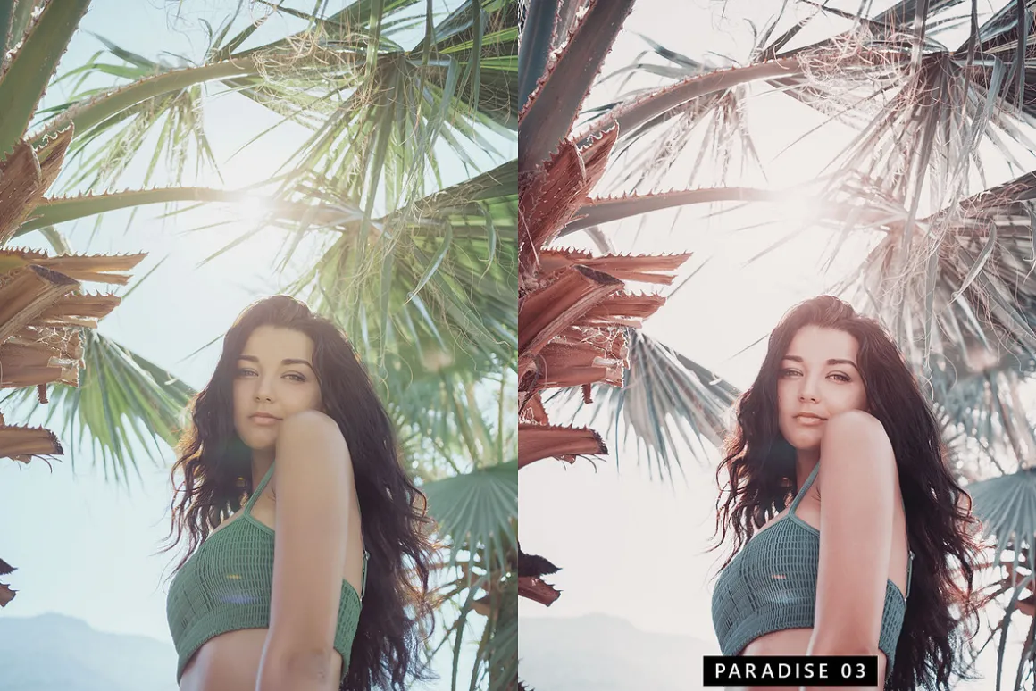 20 Flamingo Lightroom Presets & LUTs