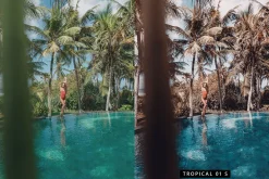 20 Flamingo Lightroom Presets & LUTs