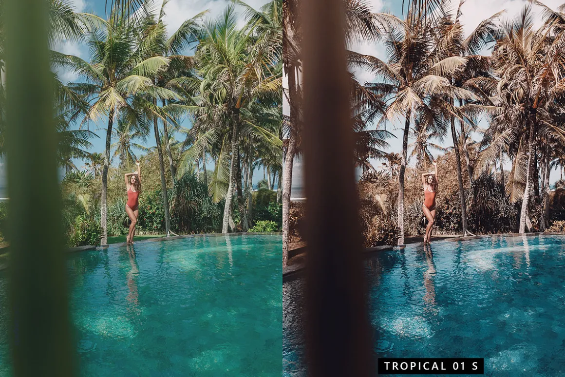 20 Flamingo Lightroom Presets & LUTs