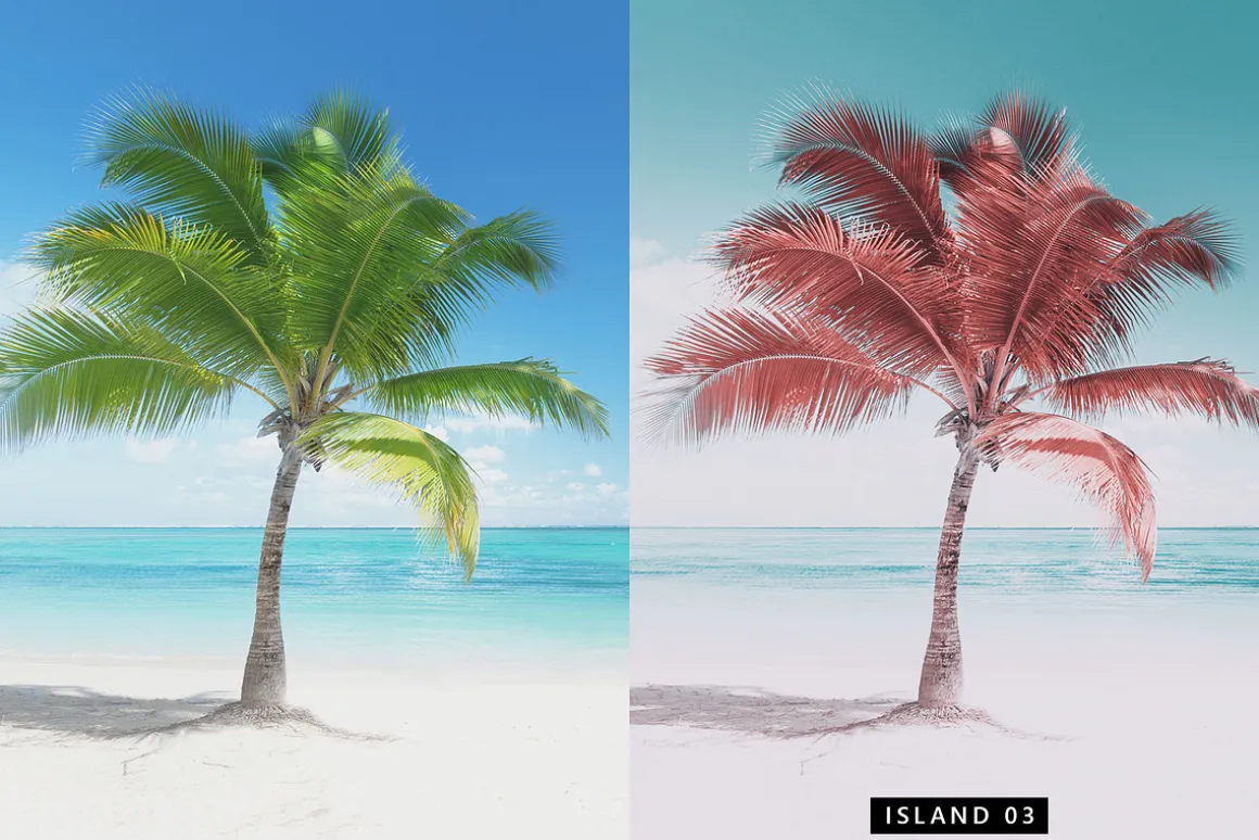 20 Flamingo Lightroom Presets & LUTs