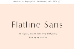 Flatline Sans Complete - 16 fonts