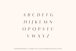 Flatline Sans Complete - 16 fonts
